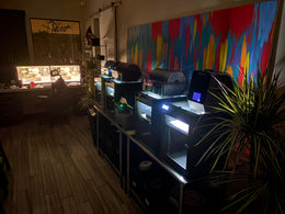 Niftly3D family workshop in Las Vegas showing four 3D printers running overnight with colorful wall mural in background